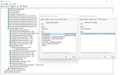 Windows 11 设备管理器按连接显示标准 NVM Express 控制器及其下属 NVMe SSD