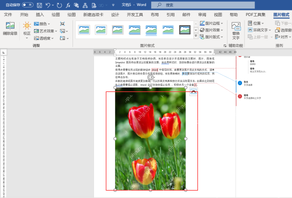 Word 文档中重新插入本地图片后图片正常显示