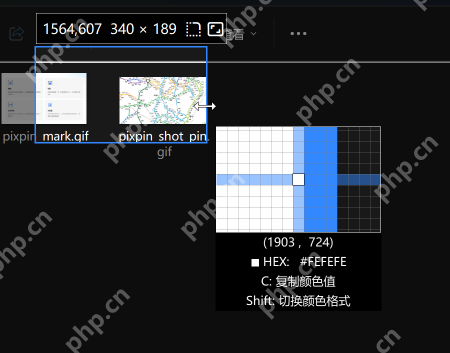 Windows 中文 PixPin 精细调整截图范围界面显示放大镜和边缘微调,证明表格边框和文字行列需要贴着像素精调截图边缘