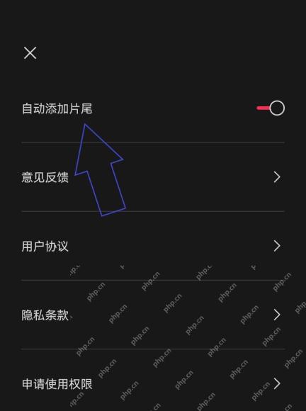 剪映设置页面用蓝色箭头标出自动添加片尾开关