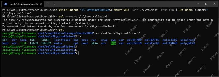PowerShell 使用 wsl mount 挂载 VHD 后在 WSL 中查看磁盘内容