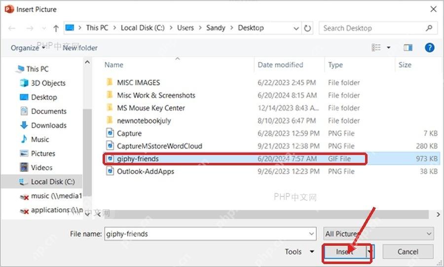 PowerPoint插入图片窗口中选中GIF文件并点击插入