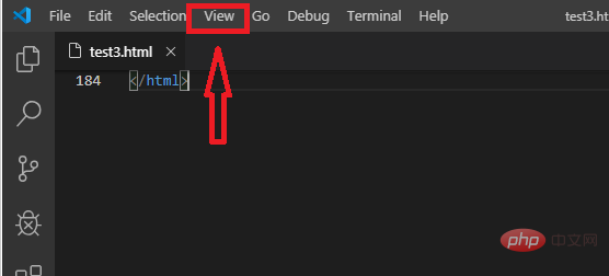 How to see the effect using vscode