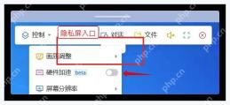 ToDesk Windows 显示菜单中隐私屏入口的另一处位置