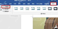 Word如何压缩文档中插入图片的尺寸大小？