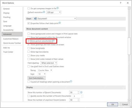 Word 365 高级选项中取消 Show picture placeholders 图片占位符