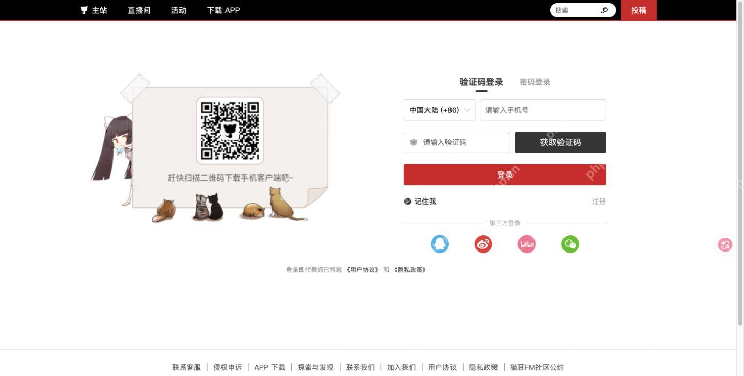 空白的验证码登录表单