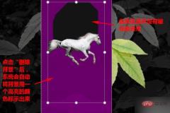 1621406855593038.jpg How to remove picture background in ppt