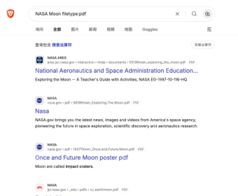 Brave Search实际filetype查询及PDF格式结果标记