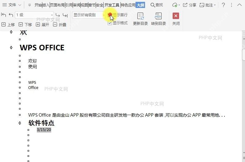 在文档大纲视图中显示每个项的首行?结果检查
