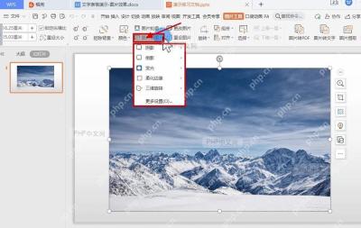 WPS 演示图片工具中的图片效果菜单入口