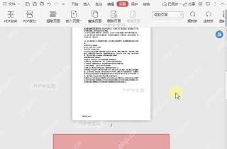 如何快速选择PDF文档中的奇数页面?设置效果