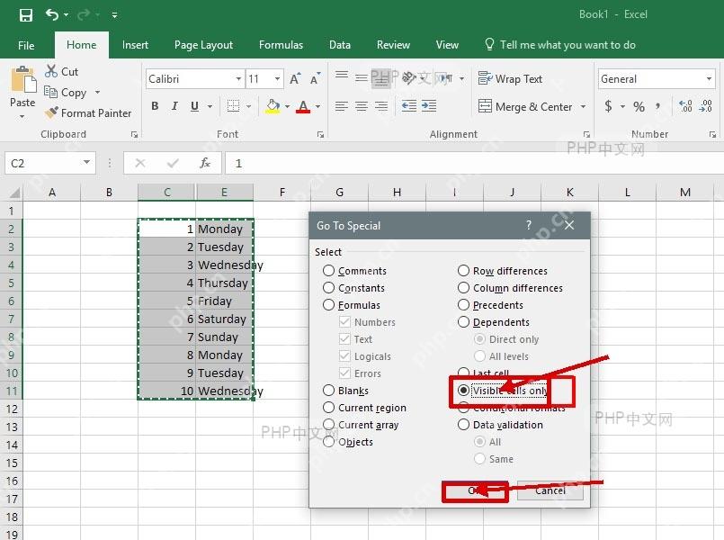 Excel 定位条件窗口中勾选 Visible cells only 并准备点击 OK