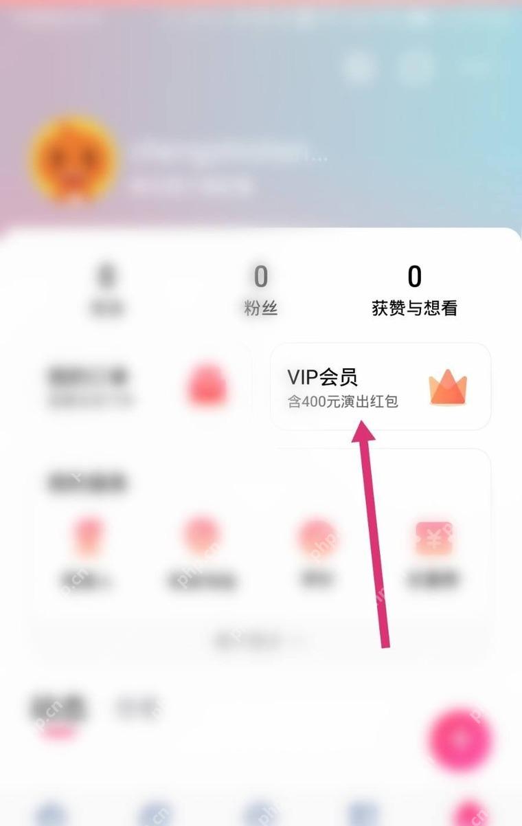 大麦 VIP 会员入口
