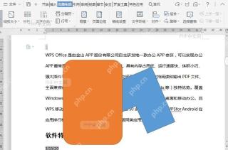 如何将文档中插入的对象置于顶层？