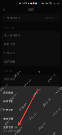 汽水音乐Android 音质列表底部无损音质VIP选项