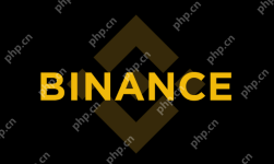 币安binance官方网址一键进入 币安binance官网准确地址入口 - php中文网