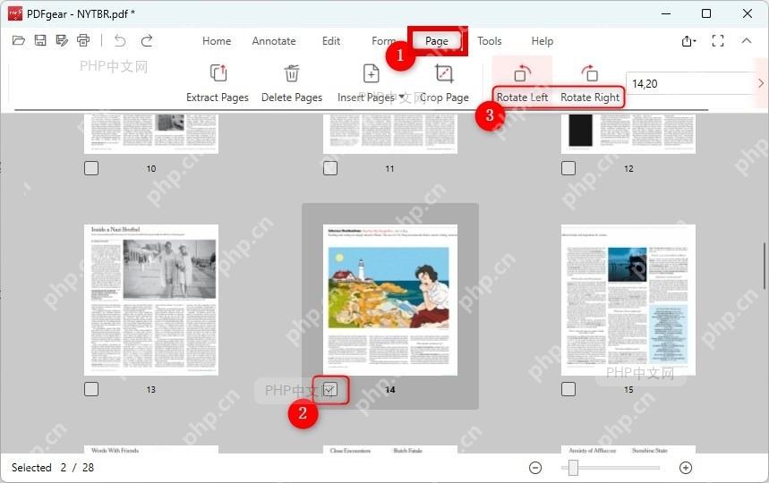 PDFgear 界面顶部 Page 标签,用于进入 PDF 页面管理步骤