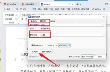 第二步填写指定字符的 WPS 文字真实界面截图