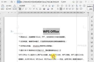 如何在文档中设置双删除线?中间操作