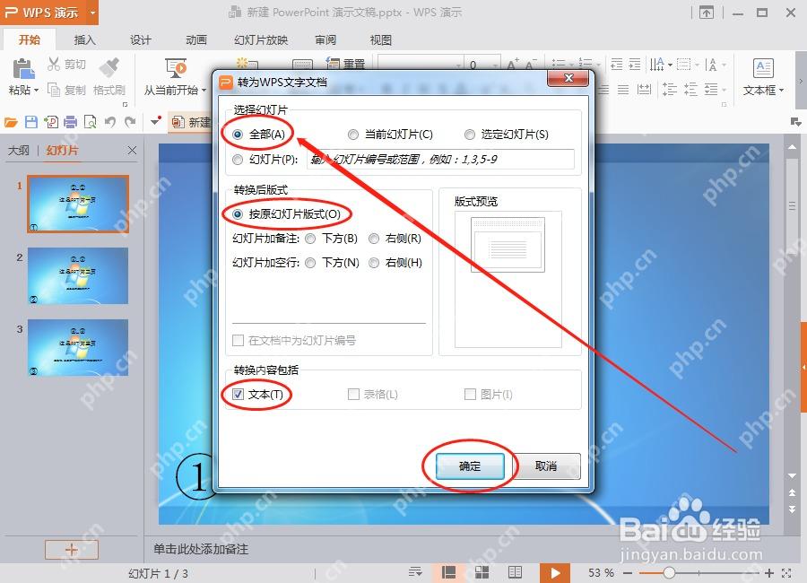 WPS演示转为文字文档窗口中设置转换范围和版式