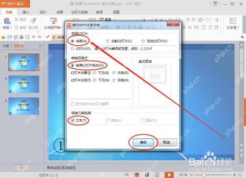 WPS演示转为文字文档窗口中设置转换范围和版式