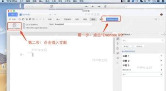 WPS功能区显示‘Endnote’按钮的界面截图
