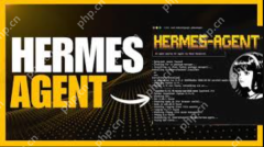 配置Hermes的API限流策略_防止突发流量导致账户余额耗尽的设置 - php中文网