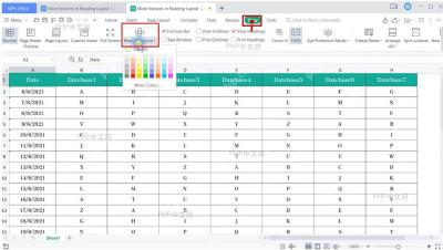 第二步:切到视图选项卡对应的 WPS 表格真实界面,显示阅读模式相关入口和表格数据区域