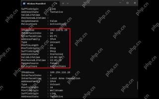 Windows 11 用 PowerShell 确认地址来自 DHCP的真实界面截图