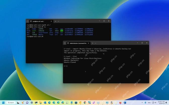 Windows 11 中用 wsl import 导入发行版后查看列表