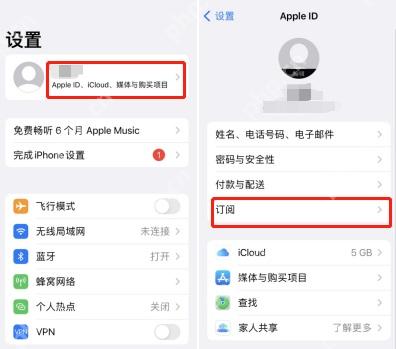 iOS 设置里的订阅入口