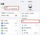 iOS 设置里的订阅入口