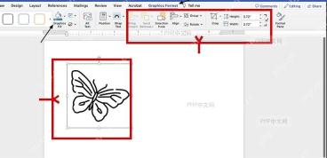 Word 文档中已插入图标，并在 Graphics Format 里调整颜色和大小这一步