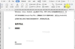 如何重置文档窗体域?设置效果