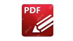 PDF文件怎么加文字水印？不同设备查看会不会变样