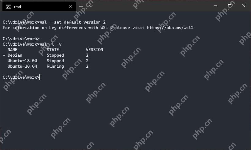 PowerShell 中通过 wsl list verbose 查看多套 WSL 发行版