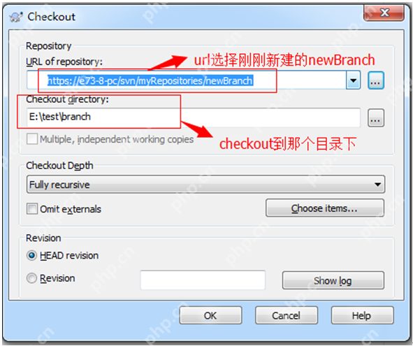 SVN版本控制系统入门指南 - php中文网