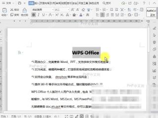 Word如何设置双删除线?设置效果