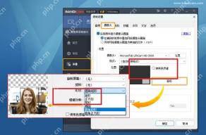 Bandicam Windows 摄像头形状设置高亮形状下拉框和圆形预览