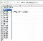 Excel中输入UNIQUE函数并引用姓名列数据区域