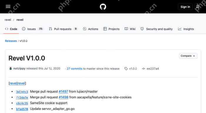 GitHub 上 Revel 官方 v1.0.0 发行页显示 2020-07-12 发布日期及 SameSite cookie support 条目,证明版本更新事实