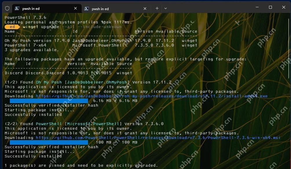 Win11 PowerShell 批量升级后提示 1 个包已固定需显式升级