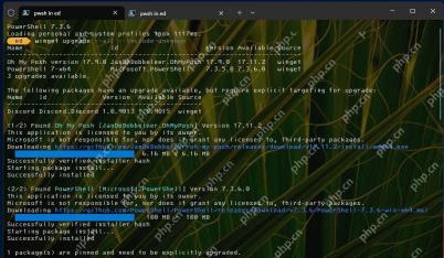 Win11 PowerShell 批量升级后提示 1 个包已固定需显式升级