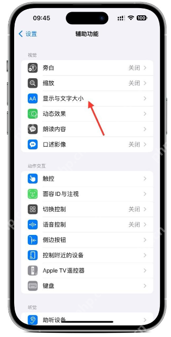 iPhone 辅助功能页面中显示与文字大小入口被箭头标出