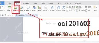 Word 文档中选中插入图片并检查图片所在段落
