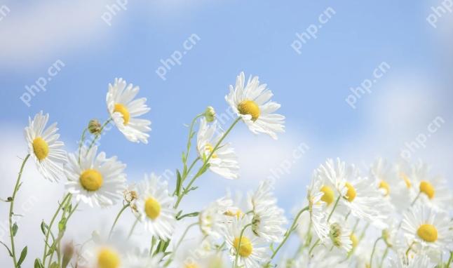 微信名字 昵称 好听2025 适合永久使用的昵称 - php中文网