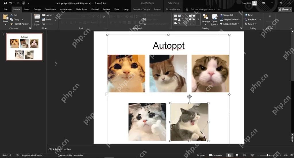 PowerPoint 中照片墙排版完成后选中图片继续微调位置