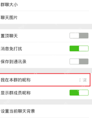微信聊天信息中的我在本群的昵称入口
