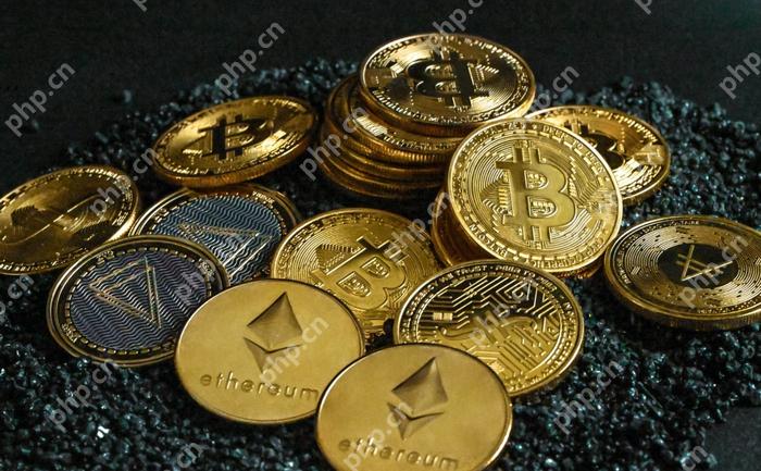 ustd往返app下载推选 - php汉文网